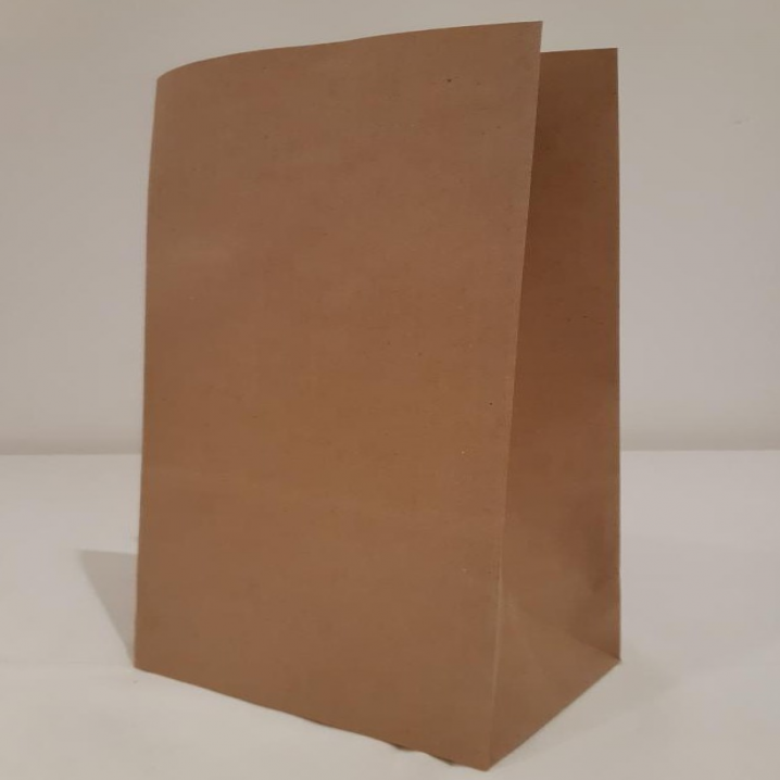SACO DE PAPEL  M 18X25X10